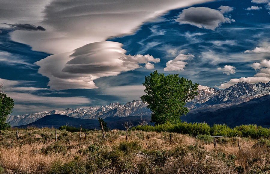 Lenticulars Photograph by Cat Connor