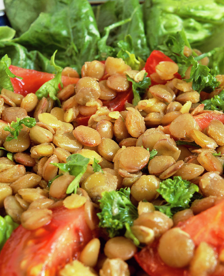 Lentil Salad Photograph by Martin Bond/science Photo Library