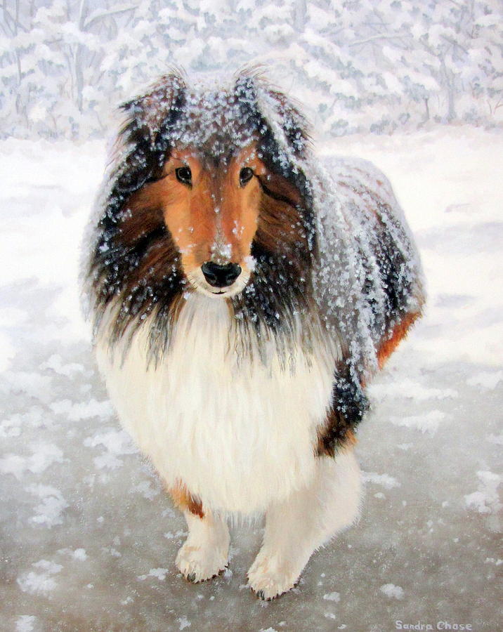 Dog Painting - Leo in the Snow by Sandra Chase