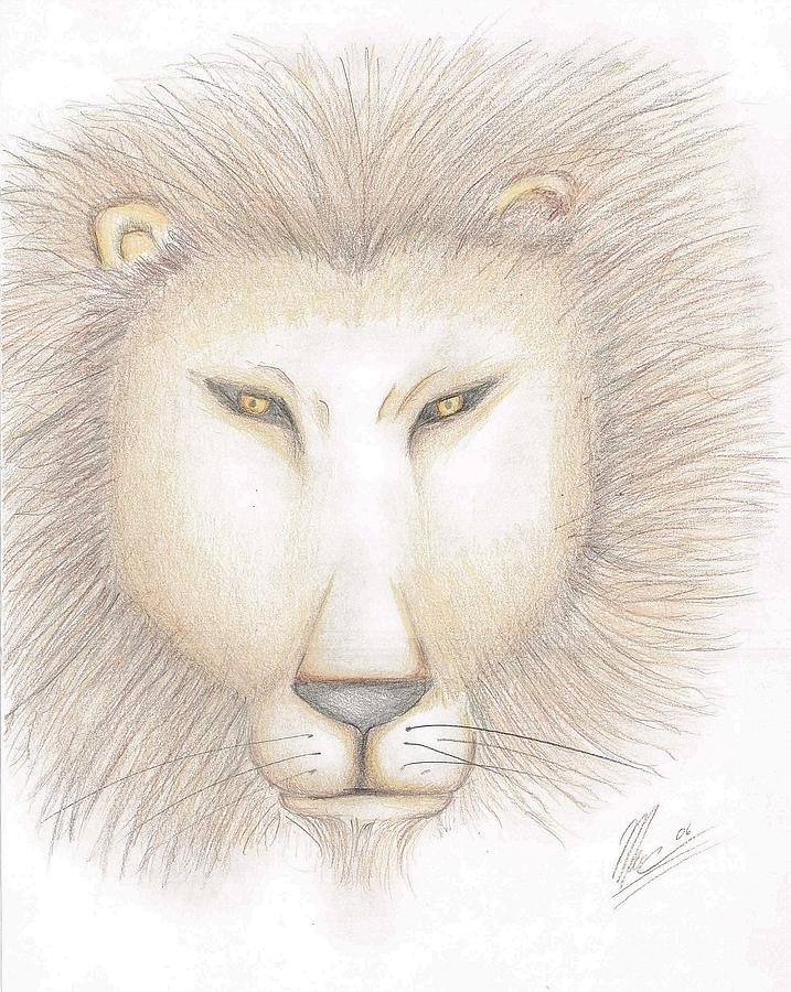 Animal Drawing - Leo by Marc Chambers