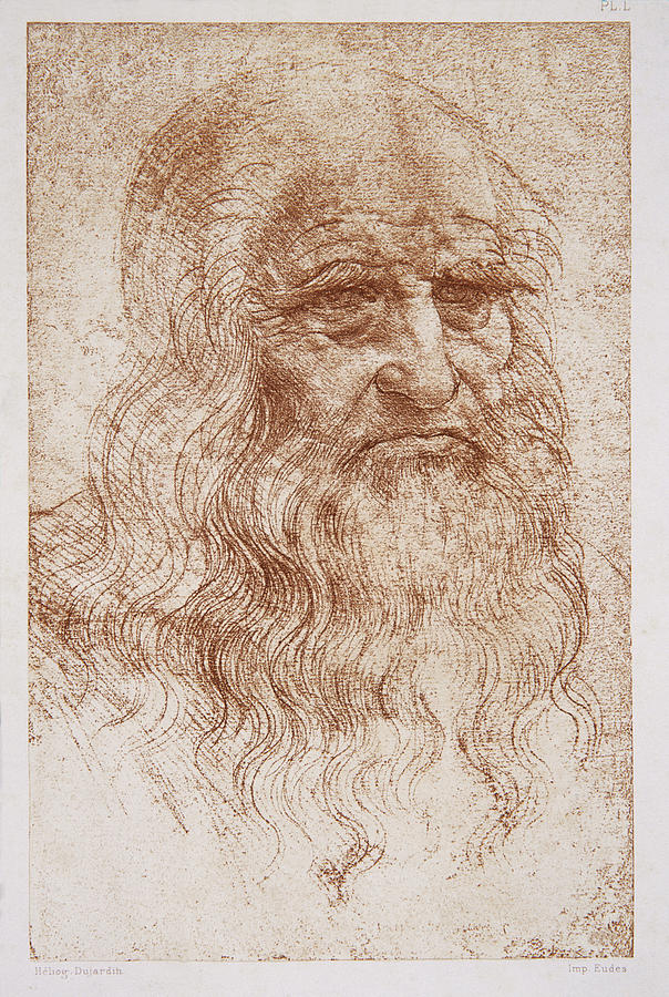 Leonard Da Vinci Photograph by Sheila Terry/science Photo Library