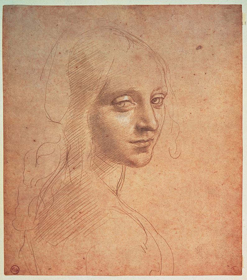 Leonardo Da Vinci Photograph - Leonardo Da Vinci, Portrait Of A Girl by Everett