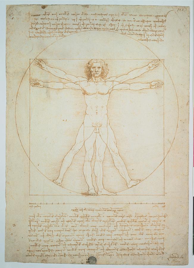 Leonardo Da Vinci, Vitruvian Man - Photograph by Everett - Fine Art America