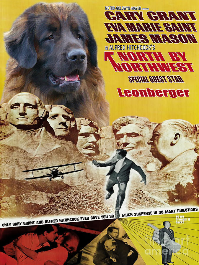 Leonberger Art Canvas Print - North By Northwest Movie Poster Painting by Sandra Sij