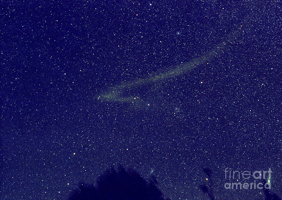Leonid Meteor Dust Trail Photograph by John Chumack