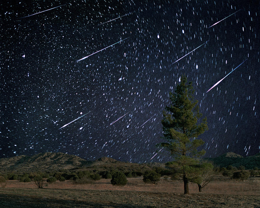 Leonid Meteor Shower Photograph by Tony & Daphne Hallas/science Photo Library