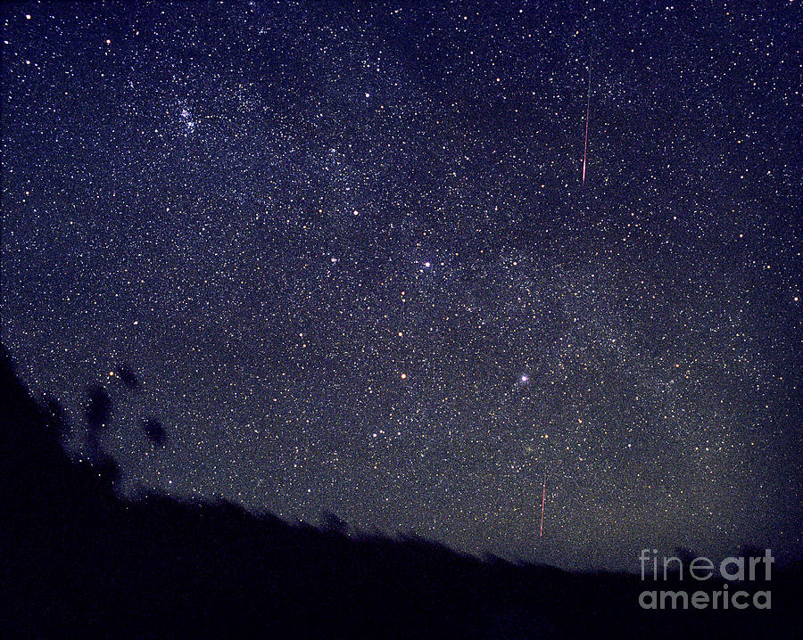 Leonid Meteors Photograph by John Chumack