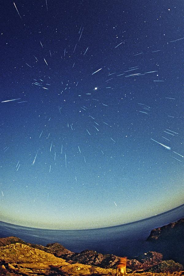 Leonids Meteor Shower Photograph by Juan Carlos Casado (starryearth.com)
