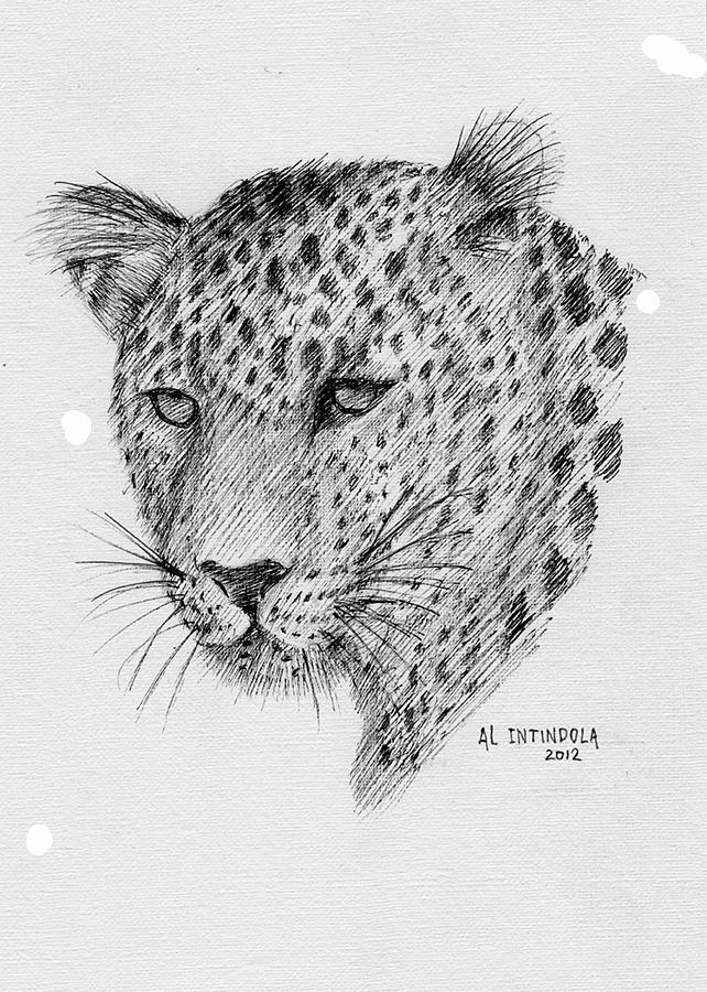 Leopard Drawing by Al Intindola