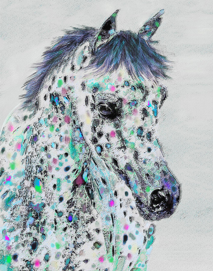 Horse Digital Art - Leopard Appaloosa by Jane Schnetlage