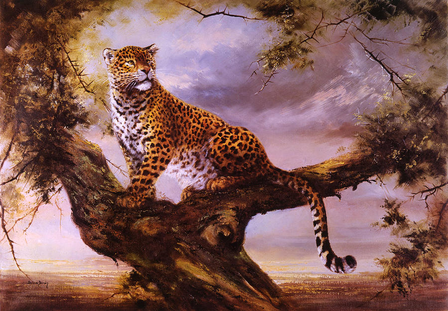 Leopard At Kora Painting By Silvia Duran