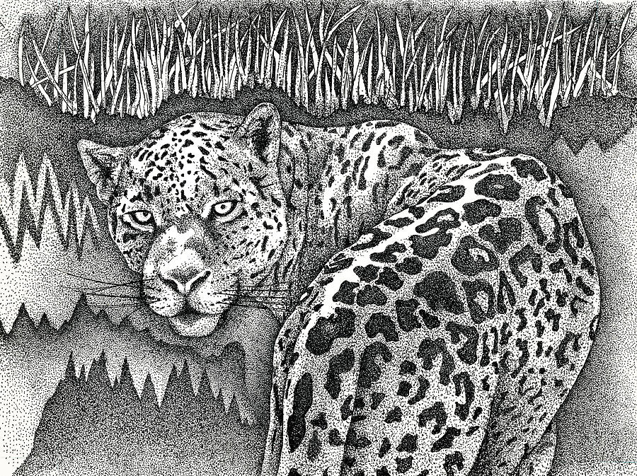 Leopard Drawing by Brian Gilna