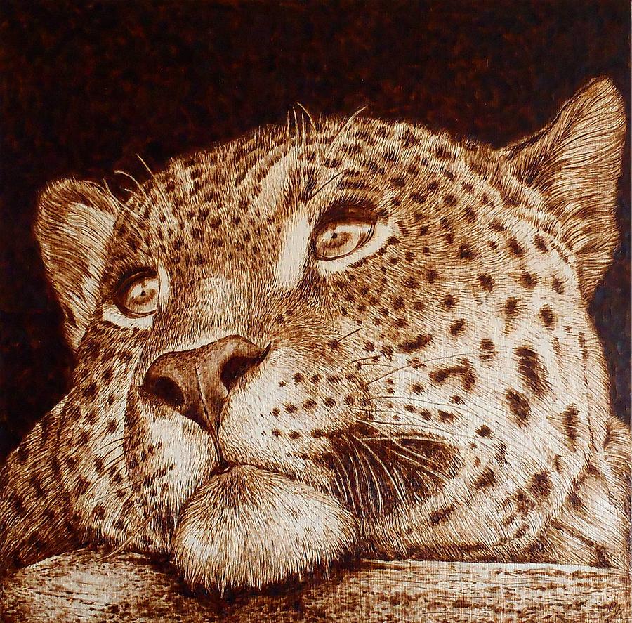 Nature Pyrography - Leopard by Cara Jordan