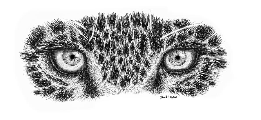 with pencil eye drawing Rabie Eyes by  David Print  Leopard Drawing