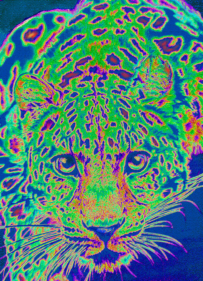 Leopard Eyes Green Digital Art by Jane Schnetlage
