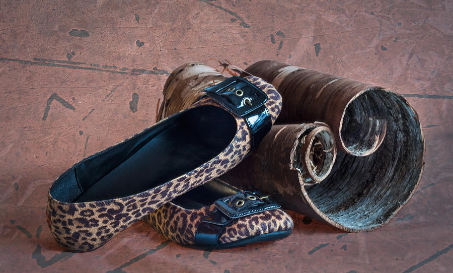 Leopard Flats Still Life Photograph by Patti Deters