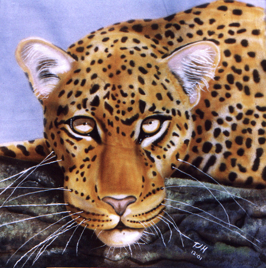 Leopard in a tree by Thomas J Herring Leopard in a tree by Thomas J Herring