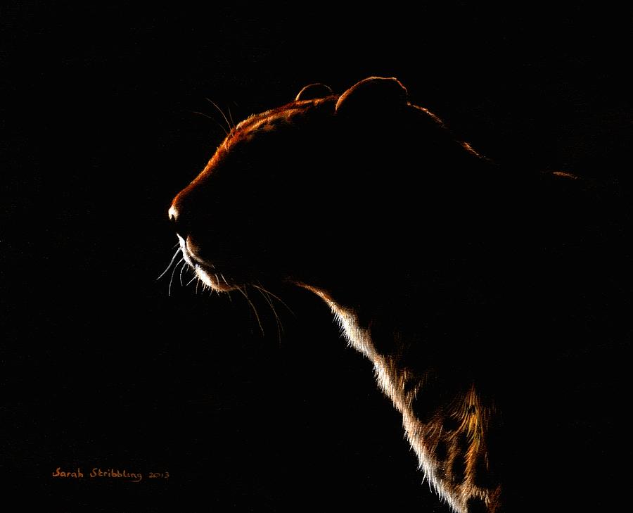 Leopard in the shadows Painting by Sarah Stribbling - Pixels