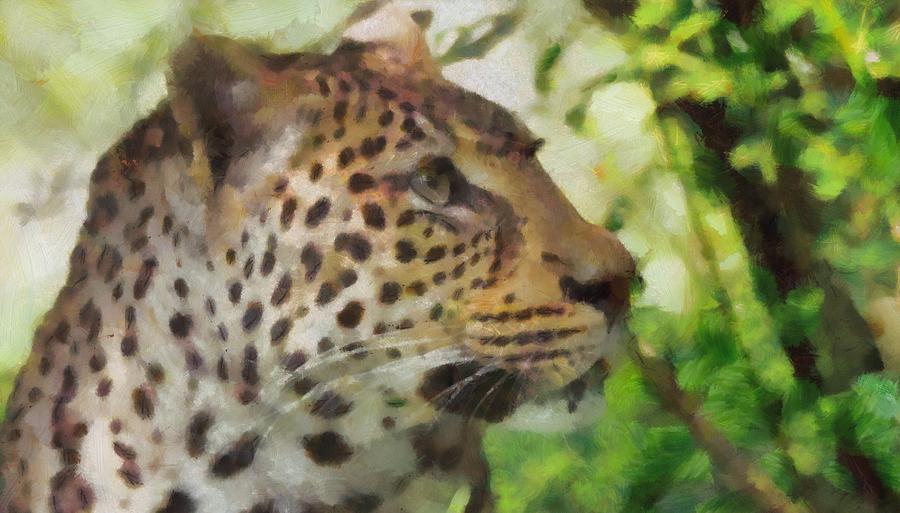 Leopard In The Wild Painting by Dan Sproul