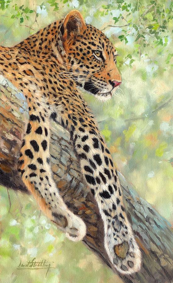 Leopard in Tree Painting by David Stribbling