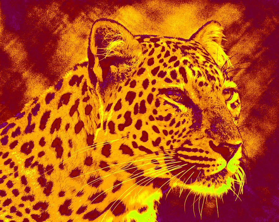Leopard Digital Art - Leopard by Jane Schnetlage
