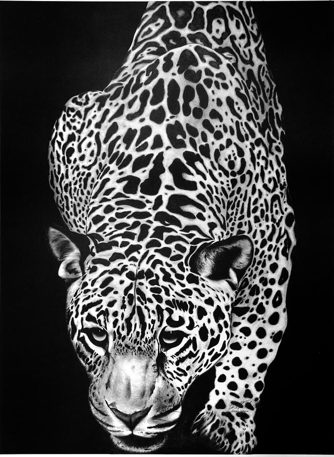 Leopard Drawing by Jerry Winick