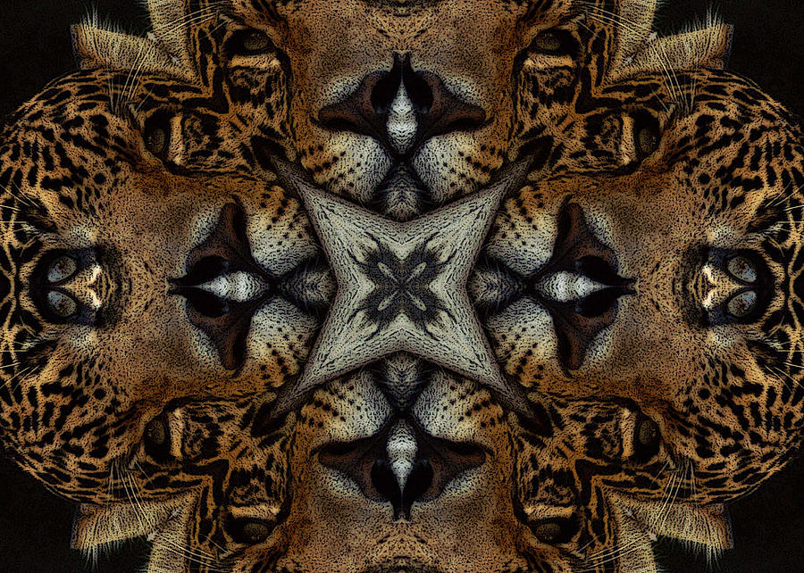 Leopard Kaleidoscope  Digital Art by TnBackroadsPhotos 