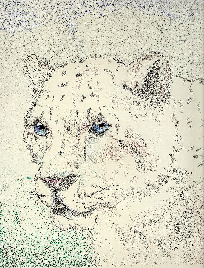 Leopard Drawing