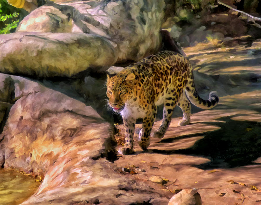 Leopard Painting by Michael Pickett