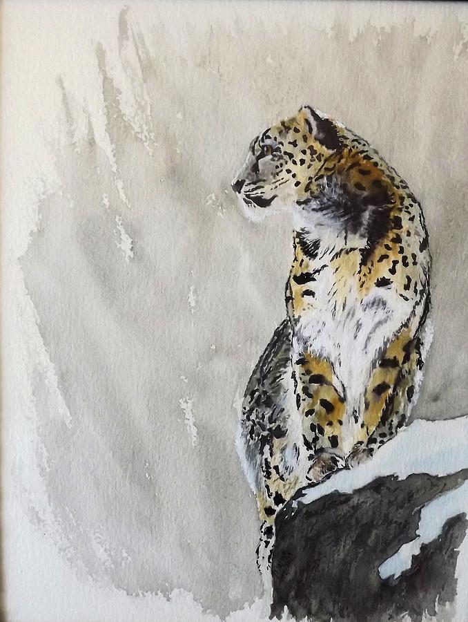 Leopard on a Rock Painting by Maris Sherwood