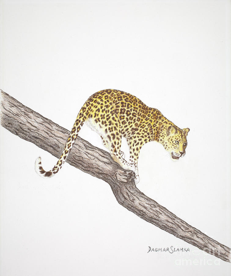 Nature Painting - Leopard on the tree by Dag Sla