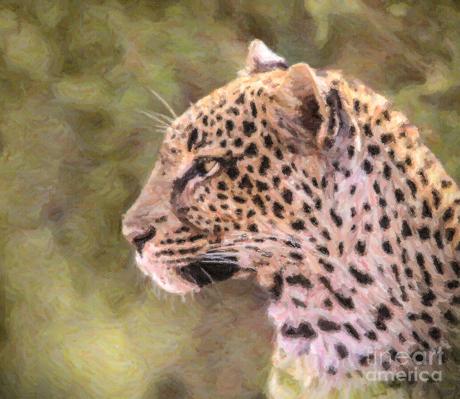 Leopard portrait Digital Art by Liz Leyden