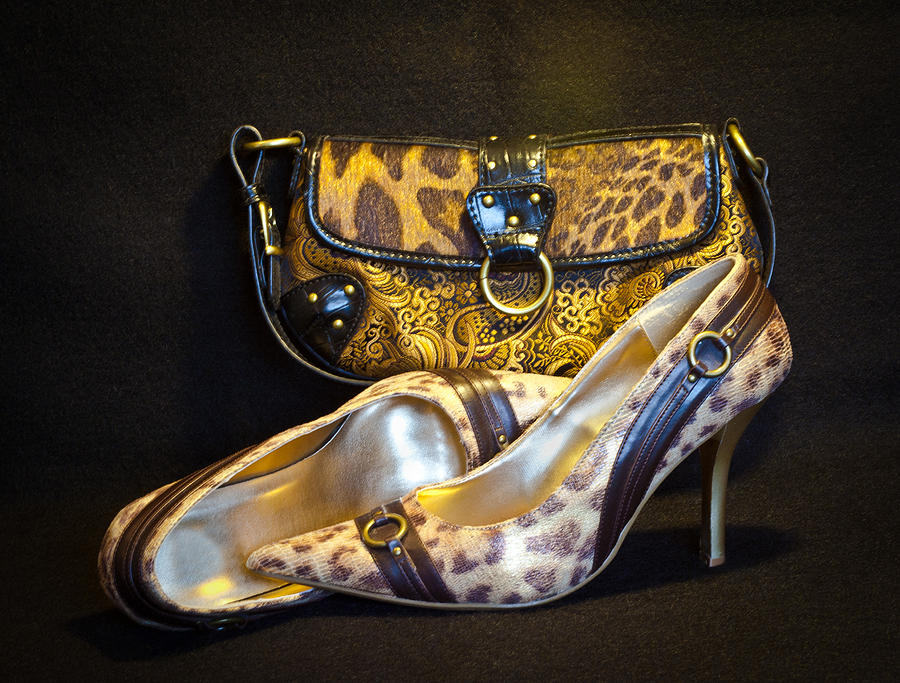 Leopard Purse and Pumps Photograph by Patti Deters