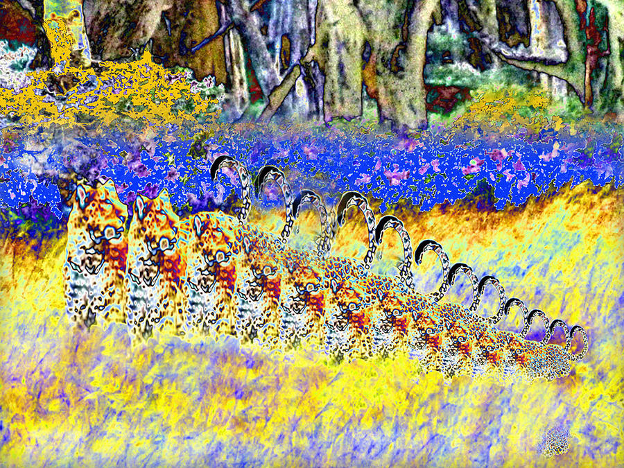 Leopard Digital Art - Leopard Rampage by Philip Brent