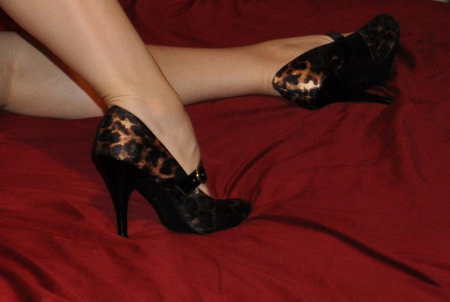 Leopard shoes Photograph by Heather L Wright