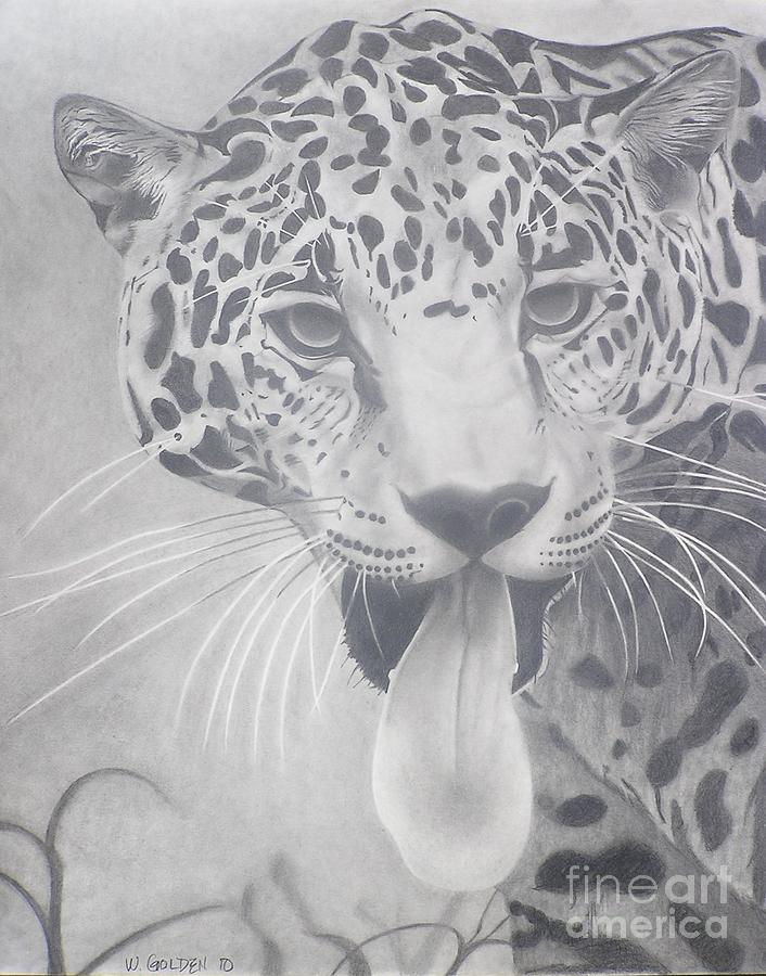 Leopard Drawing