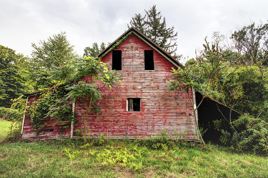 Barn Photograph - Leos Loveable Apple Barn - things you might see in the country by Gary Heller