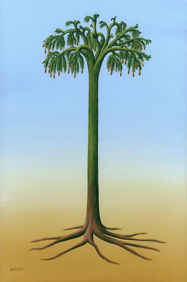 lepidodendron-carboniferous-plant-richard-bizleyscience-photo-library.jpg
