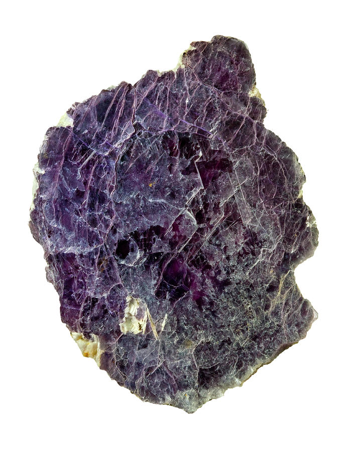 Lepidolite Lilac Rock Crystal Photograph By Natural History Museum 