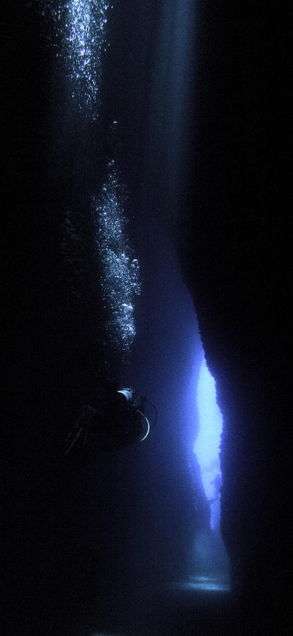 Underwater Photograph - Leru Cut II by Paula De Baleau
