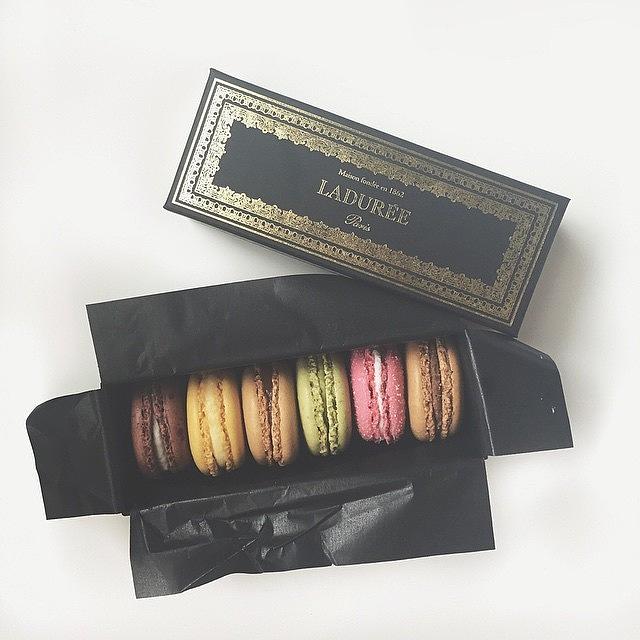 Les Macarons Photograph by Avery Rizzotto