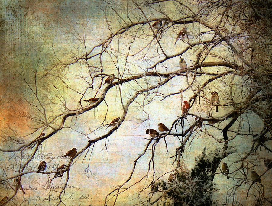 Les Petits Oiseaux  Painting by Barbara Chichester