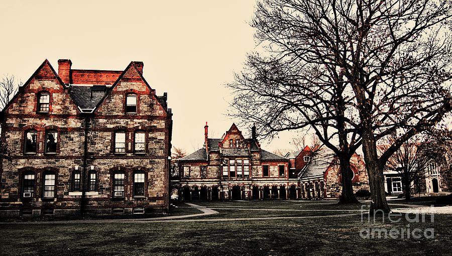 Lesley University-Cambridge Boston Photograph by Douglas Barnard