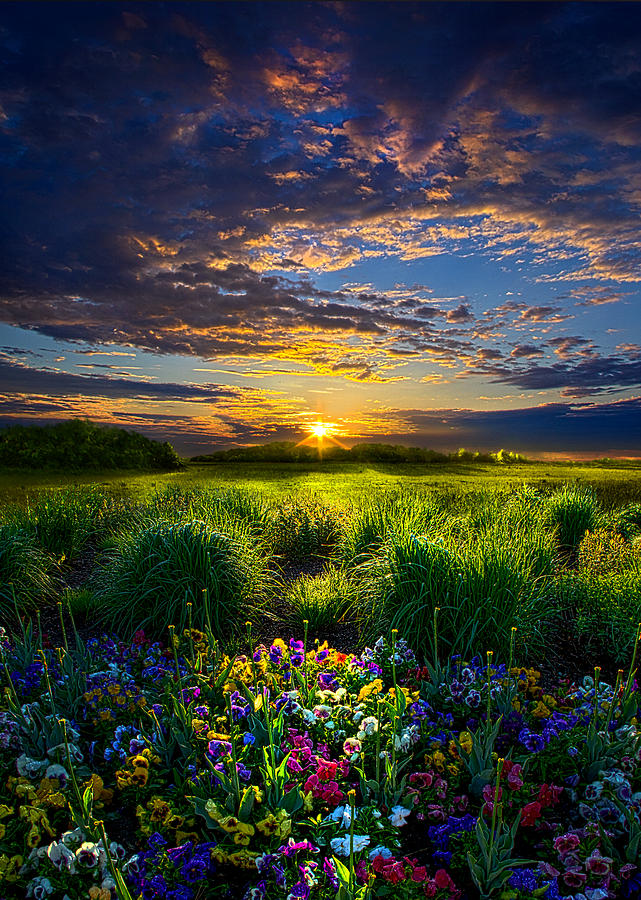 Let It Be Photograph by Phil Koch