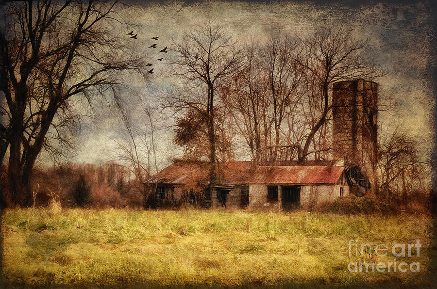 Barn Photograph - Let It Go by Lois Bryan