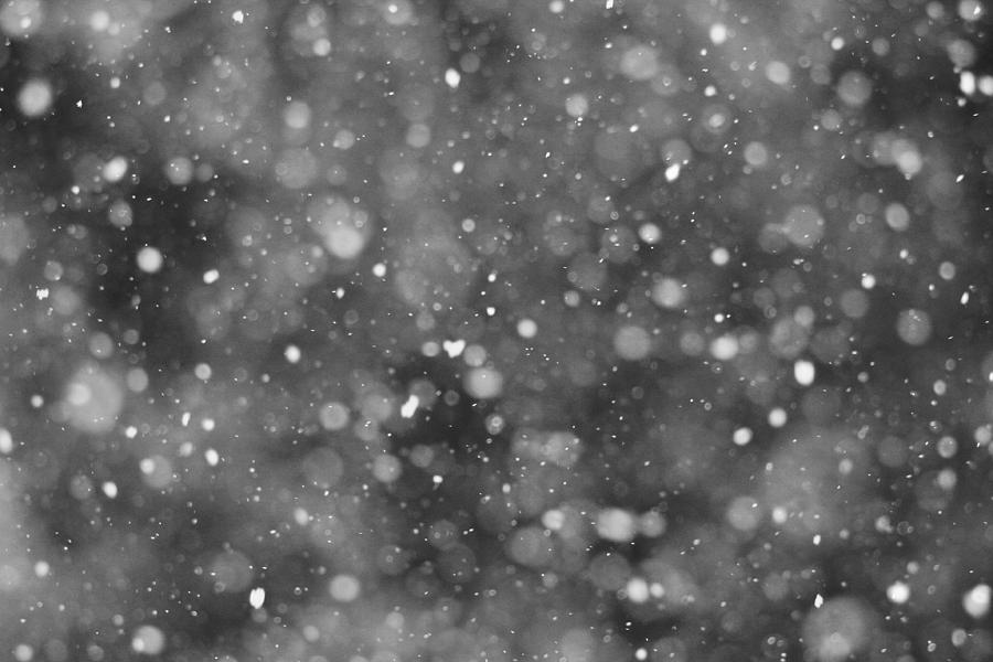 Let It Snow Photograph by Dan Sproul