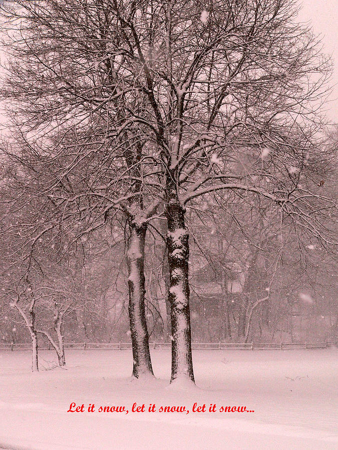 Let it snow Photograph by David Bearden