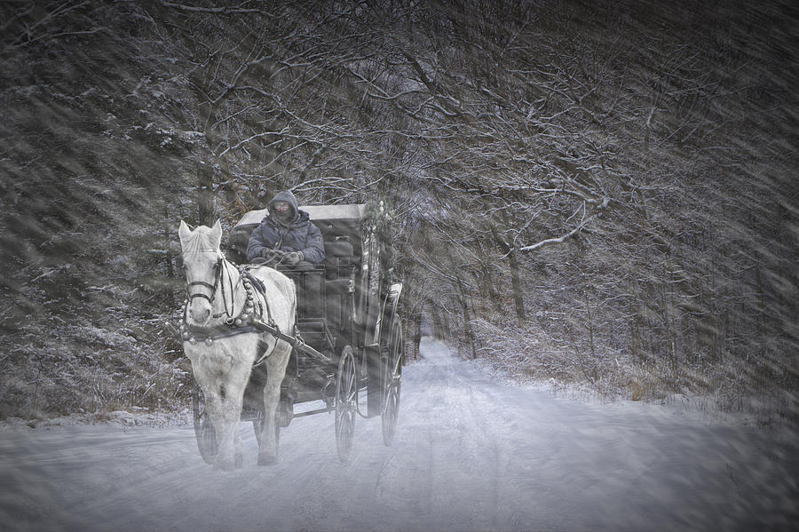 Let it Snow Photograph by Randall Nyhof