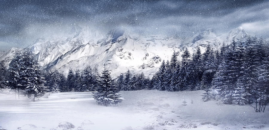 Let it Snow Digital Art by Svetlana Sewell