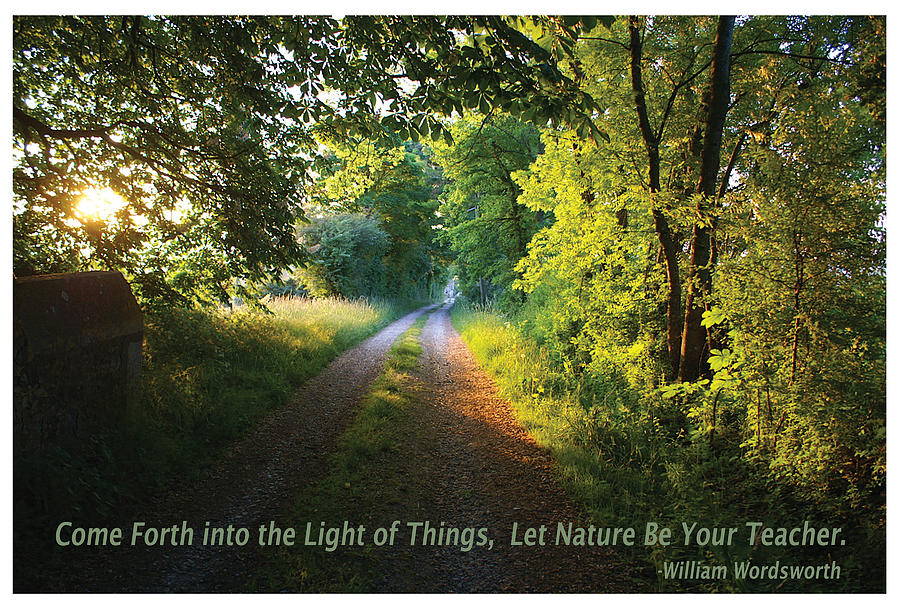 Wordsworth Quote Painting - Let Nature Be Your Teacher by Shawn Shea